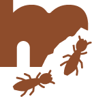 シロアリ賠償責任補償